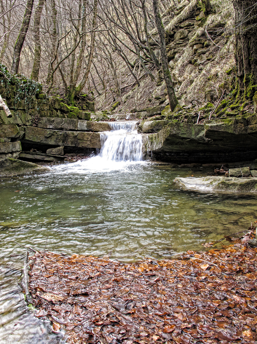 foto 2 - Dolina Glinþƒice